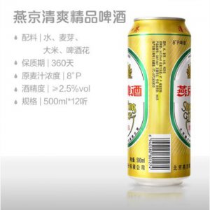 清爽精品500ml易拉罐