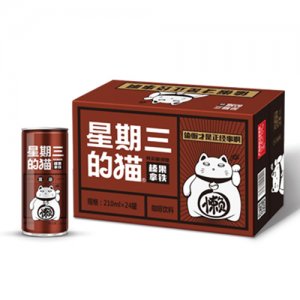 星期三的貓 棕