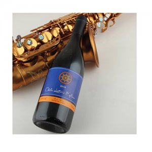 智利進口勞塔羅探險家干紅葡萄酒750ml6瓶件