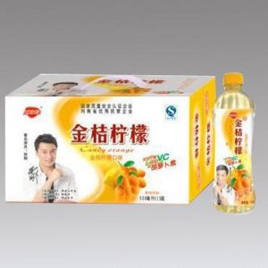 金嬌陽金桔檸檬500ml×15瓶
