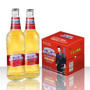 圣菲克萬紫千紅啤酒500mlx12瓶
