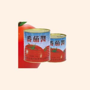 紅滿多番茄醬調味品罐裝
