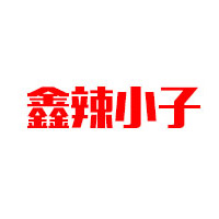 漯河市鑫辣小子調味品有限公司