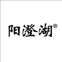 上海至多實業有限公司