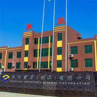 河南東致實業有限公司