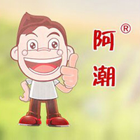 安慶市北正炒貨食品有限責任公司