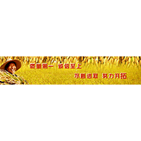 五常市北方米業有限公司